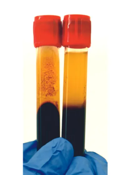 Brown and yellow liquids are turned around in containers for testing by an Advanced Horizontal Spin